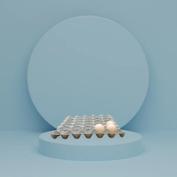 30 cell Biodegradable egg carton empty 30 cells tray box packaging for chicken egg