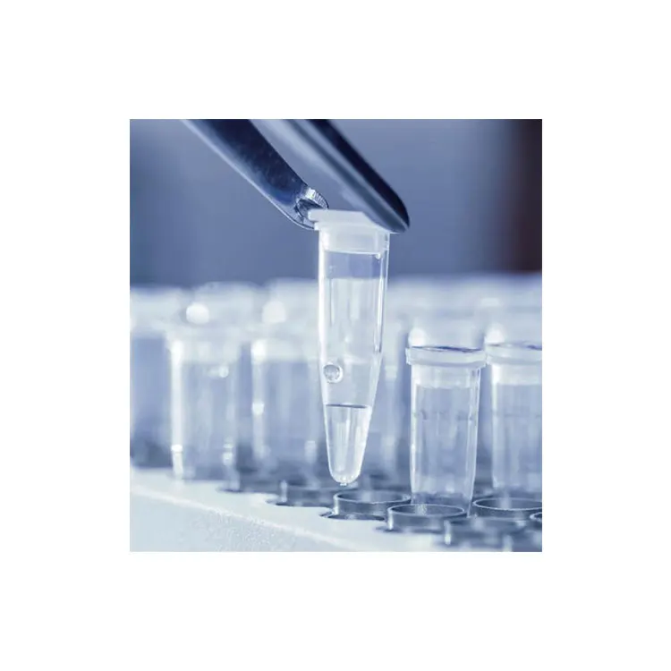 Hot Sale Laboratory disposable Consumable PCR 8 STRIP TUBE