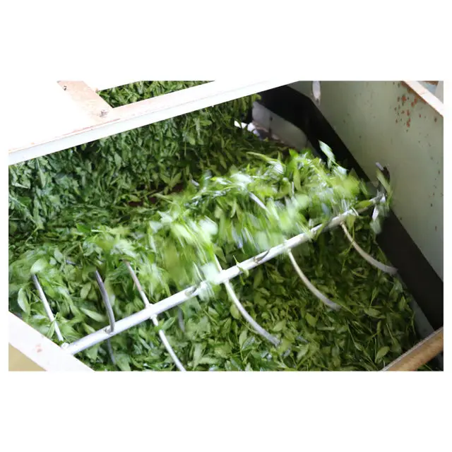 Wholesale memorable original sencha green tea leaves organic