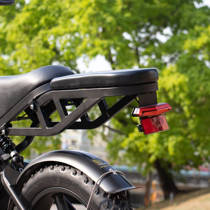 Netherlands E-Bike 48v 250watt 750w E Bike Electric Bike Fat Tire Dirt Ebike for Adults Men Sales Electric Bicycle