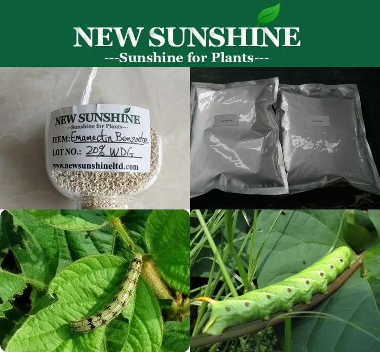 Hot Sale High Quality Benzoate Emamectin Price 90% /70% TC, 30%/20%/10% WDG, 5% SG Formulation Agrochemical Insecticide