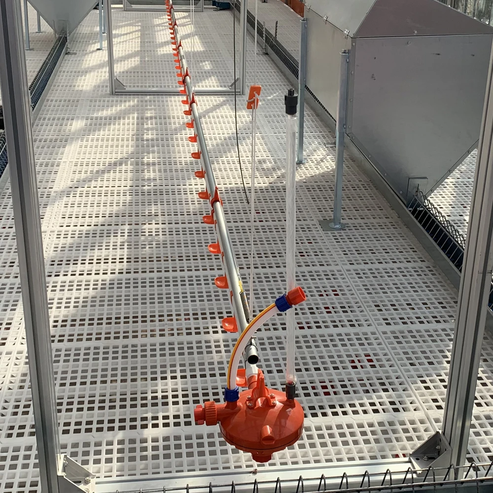 Automatic stainless steel poultry chicken nipple drinkers watering system for chickens