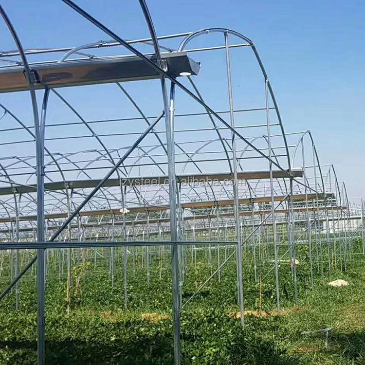 China supplier cheap price tunnel greenhouse