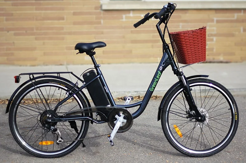 Advanced Technology Low Price Electric City Bike Women With Children