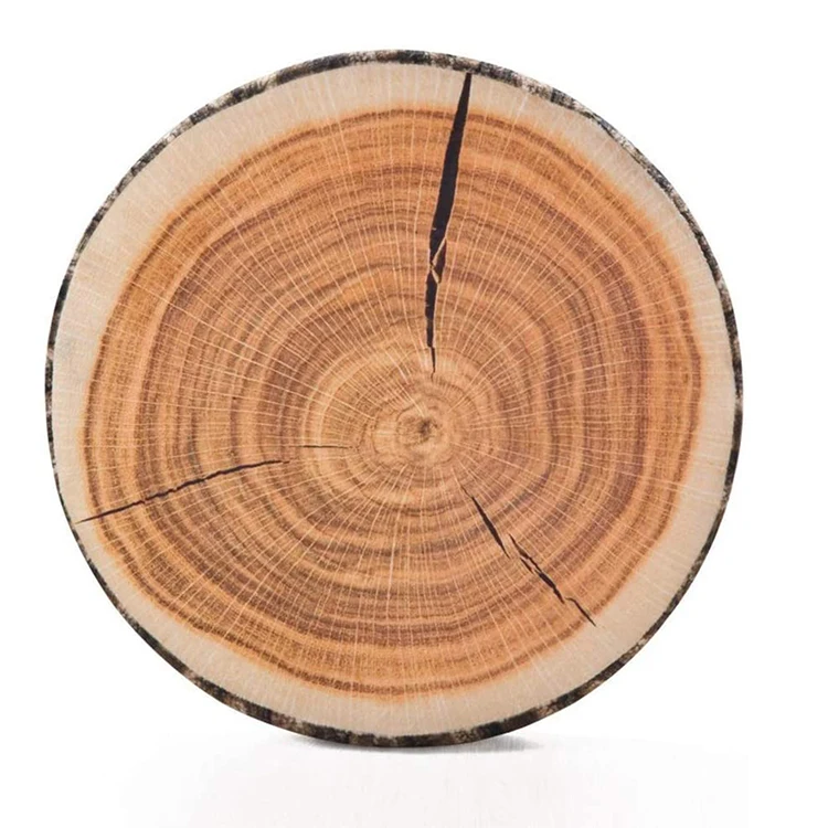 SIPEIEN Decorative Round Throw Pillow 3D Digital Print Floor Cushion Kids Funny Cute Wood Pillow for Couch Sofa Bedroom