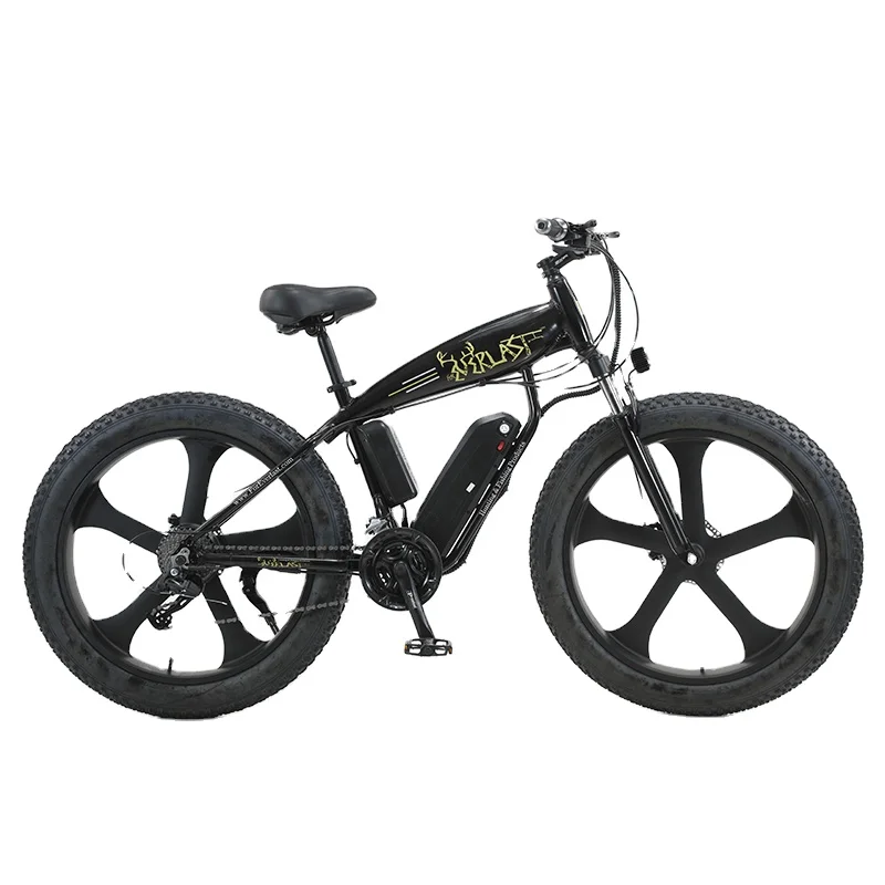 Cheap Wholesale 26 inch 750W 48v Fat Tire Electric Mountain Snow Bike Power Motor Electric Bicycle(old) 21 Speed City e Bikes