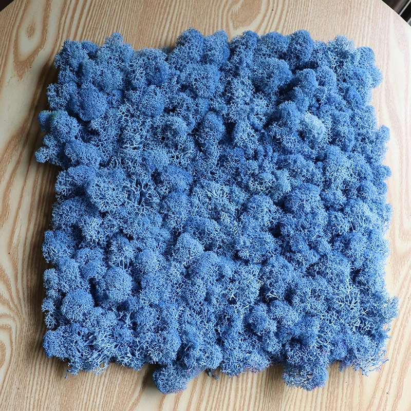 factory wholesale natural preserved reindeer flat moss panel for wall decoration