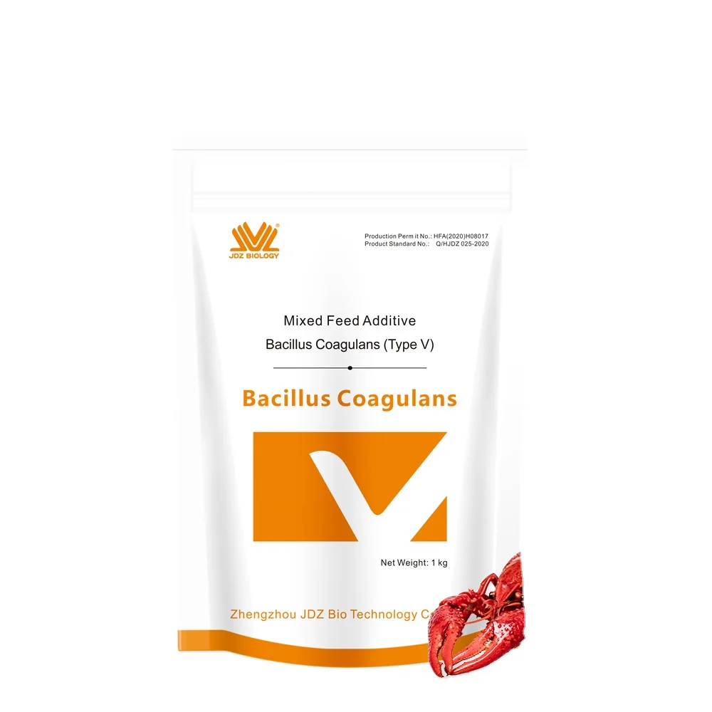 New High-Performance Standard Parts Durable and Stable Performance Bacillus Bacteria Bacillus Amyloliquefacians