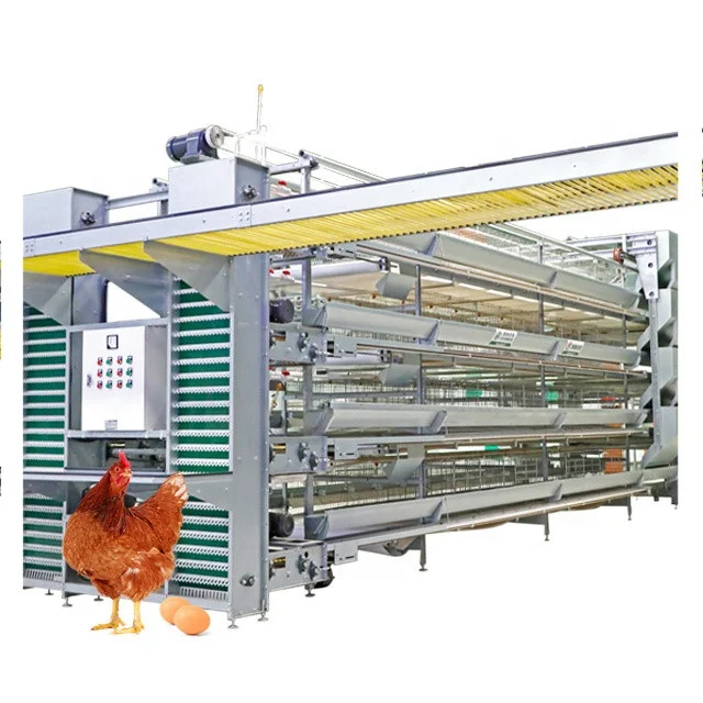 Hot Selling Automatic Chicken Layer Cage Poultry Farm Equipment