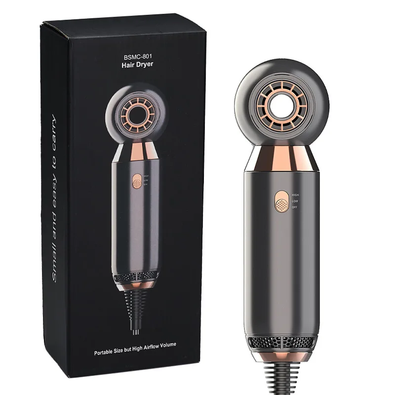 800W Smart Heat Control High Airflow Volume Lightweight Mini High Speed Hair dryer for Home Hotel and Travel