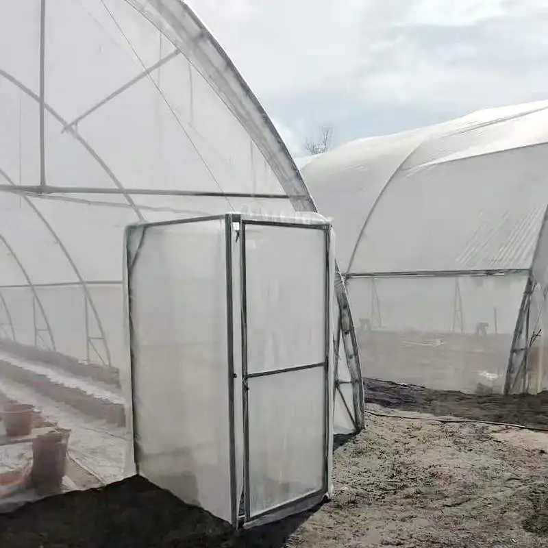 Agricultural Sawtooth Greenhouse with mushroom grow tent