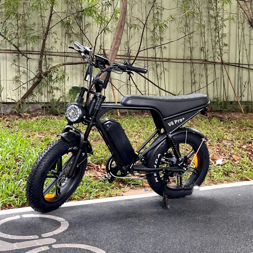 1000W Electric Bike with Steel Frame V8 Pro Plus 15Ah 30Ah 24'4 48V Full Suspension Electric Bike Electric Sports Bike