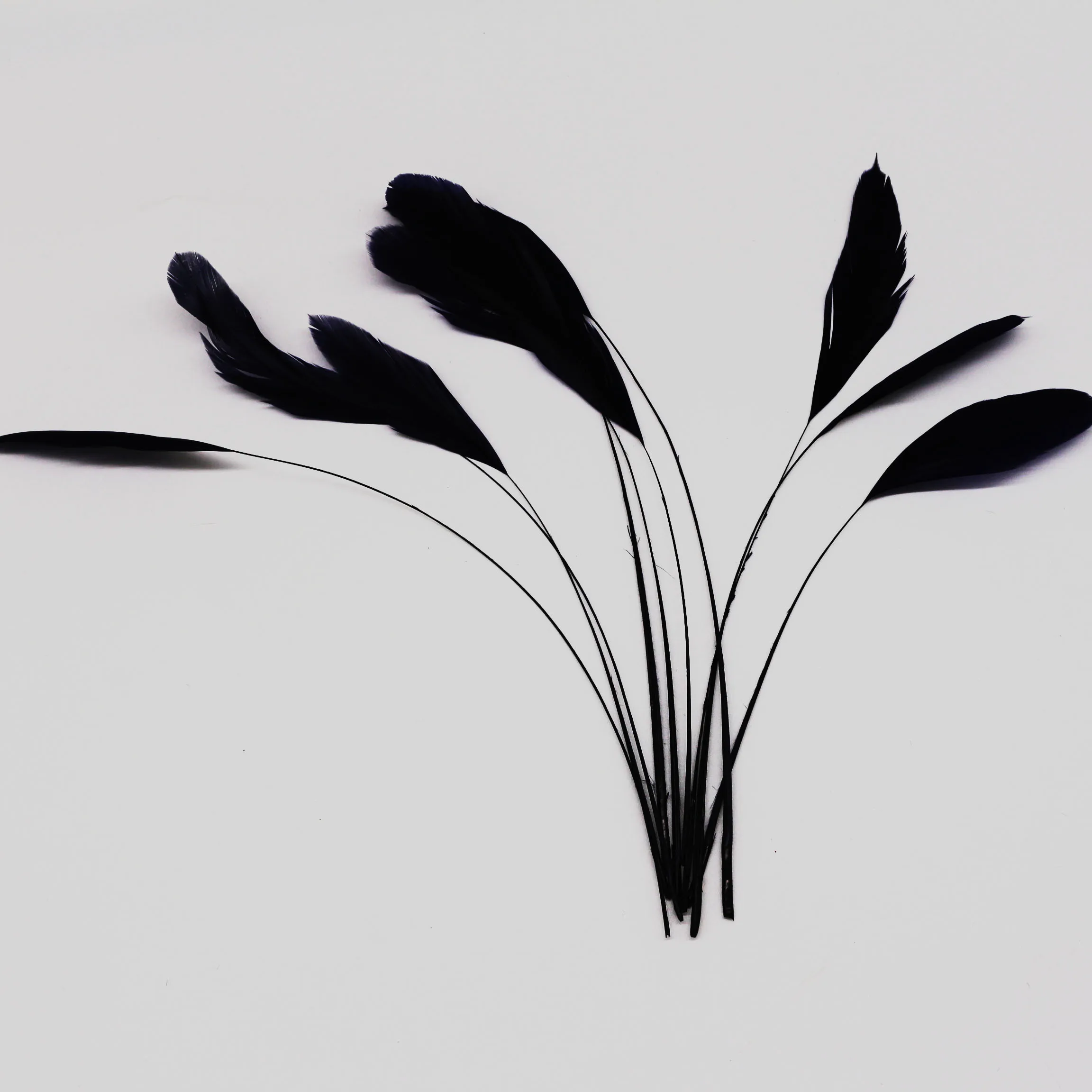 party decoration stripped coque feather