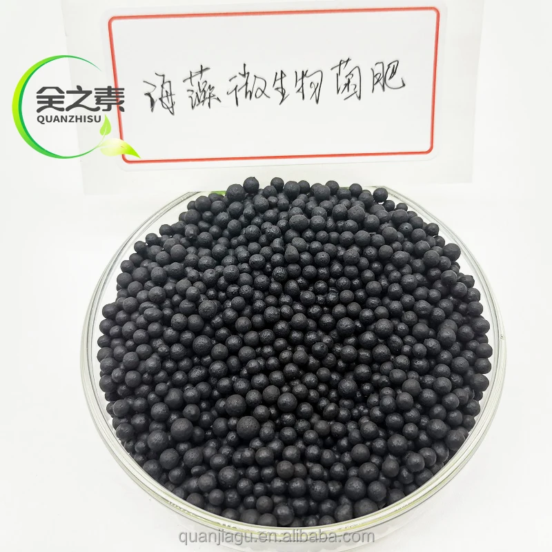 Seaweed organic  microbial bacterial fertilizer for garden plants