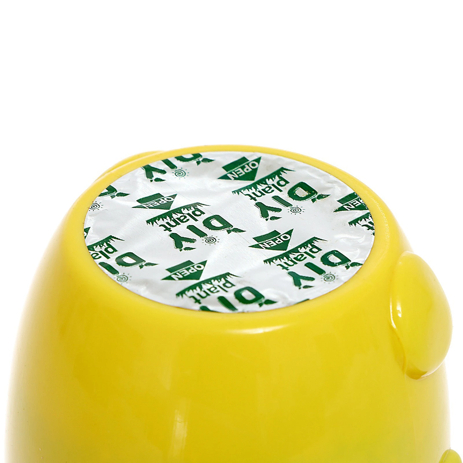 Первый эко-набор для детей набор эко-экспериментов выращивания травы Самая продаваемая цена желтый котенок