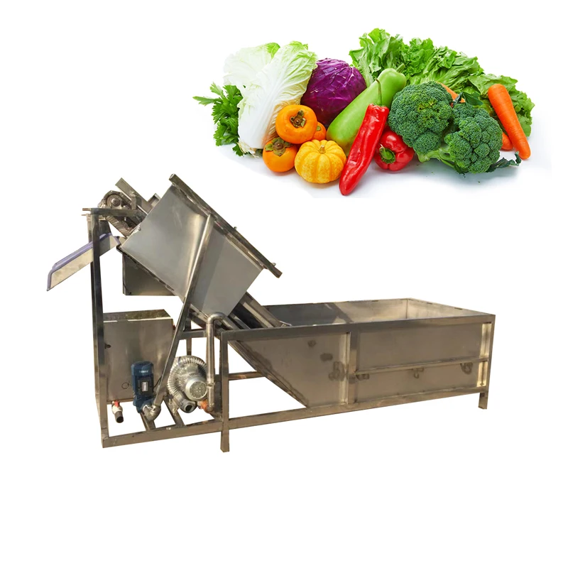 Small wild vegetable cleaning equipment mountain wild vegetable processing line Vegetable and Fruit Washing Machine