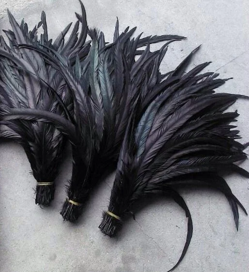 16-18 inch ( 40-45 cm) Long Rooster Tail Feathers for sale