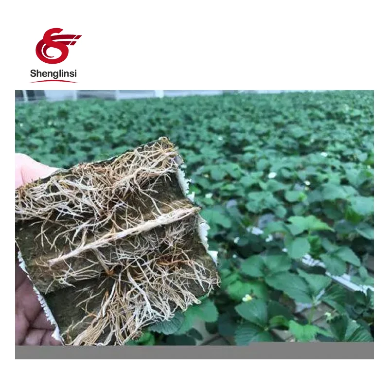 Shenglinsi  aquaponics system indoor cultivation agricultural greenhouses grow cubes rock wool hydroponic