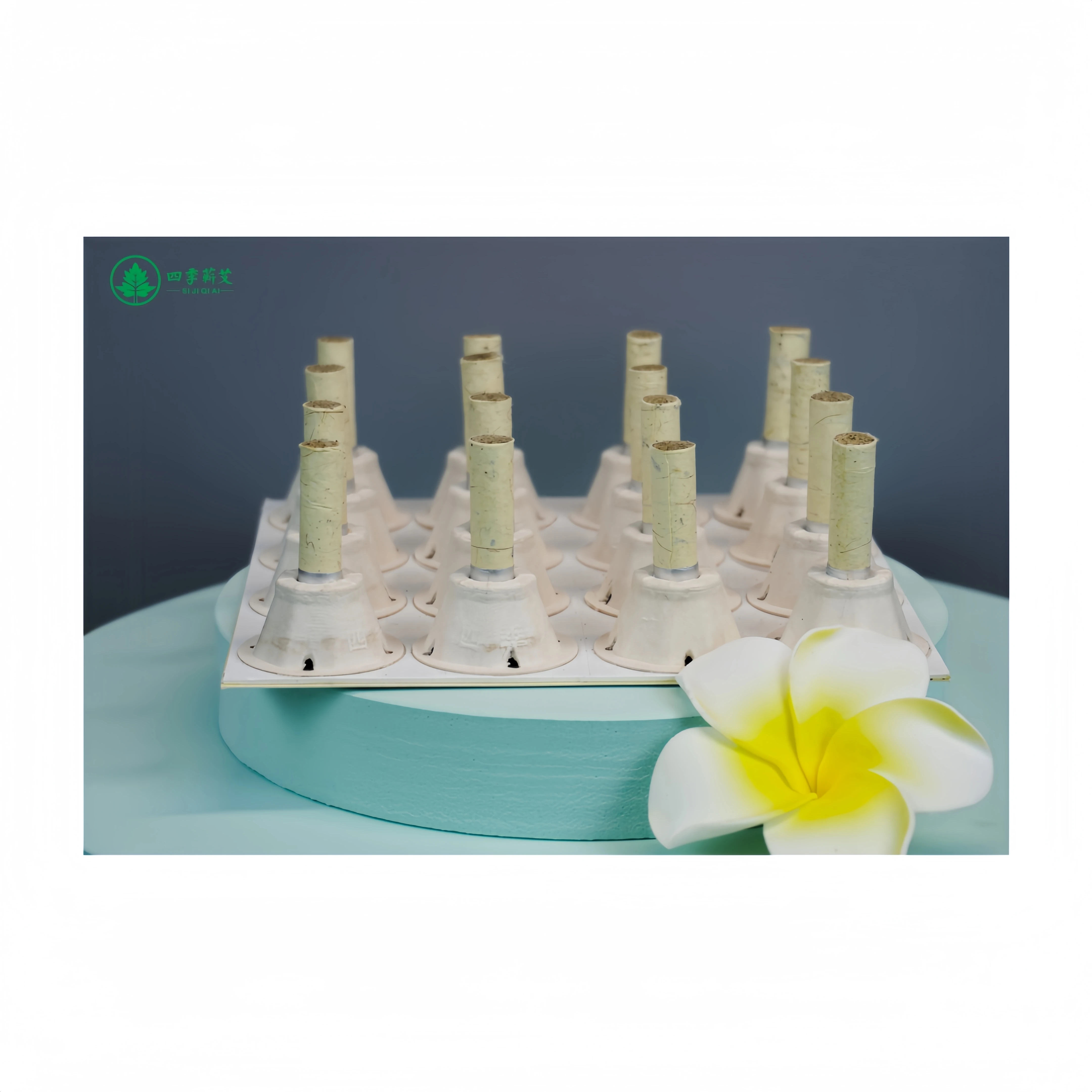 moxibustion tube paste self-stick Mini Moxa candle Self-adhesive acupuncture points massage sticker moxa stick