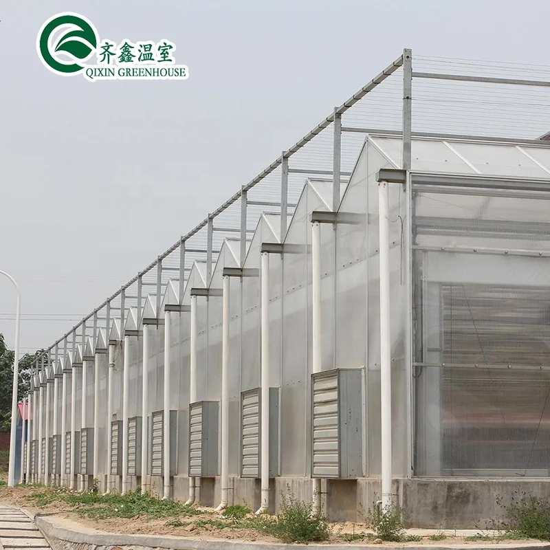 
venlo multispan greenhouse with hydroponic system 