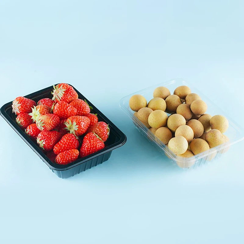 Eco-Friendly Disposable PET Plastic Tray Recyclable Embossed Fruit Box Packing Trays in Various Sizes Cake Pet Food Agriculture