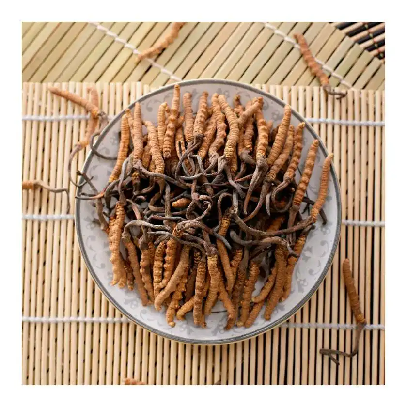 Superior Quality Cordyceps Sinensis Powder Of Capsules By Cordyceps Sinensis Extract