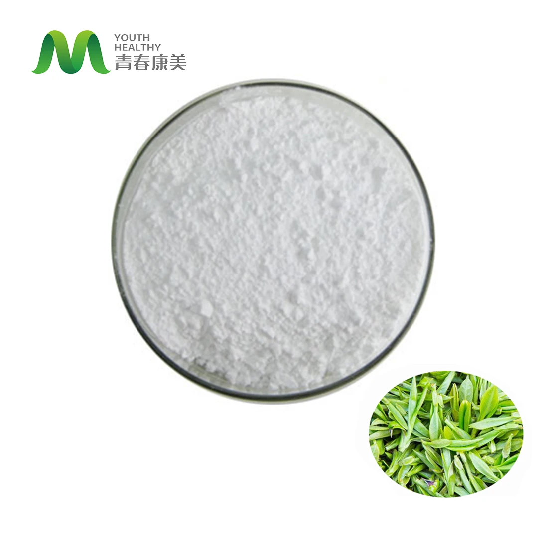 Chinese Supplier Green Tea Extract Powder Capsule L-theanine Capsule