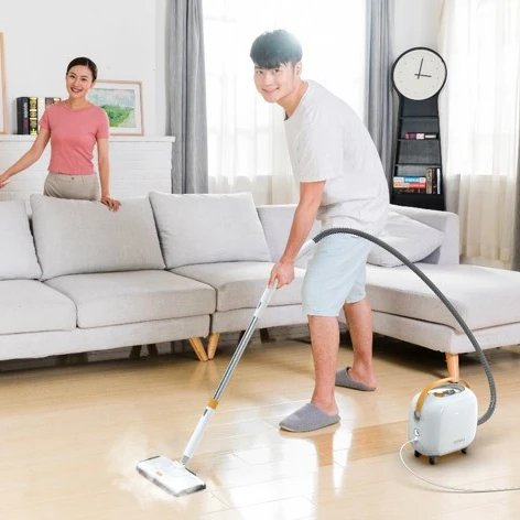 2021 China Car Washer Multifunction High Pressure Steam Cleaner Professional Steam Cleaner Cleaning Appliances