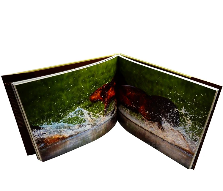 Custom Printed A4/A5 Soft Cover Full Color Workbook Booklet Book Catalogue Brochure Printing