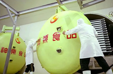 Organic hawthorn berry fruit chips, hot dried fruit chips