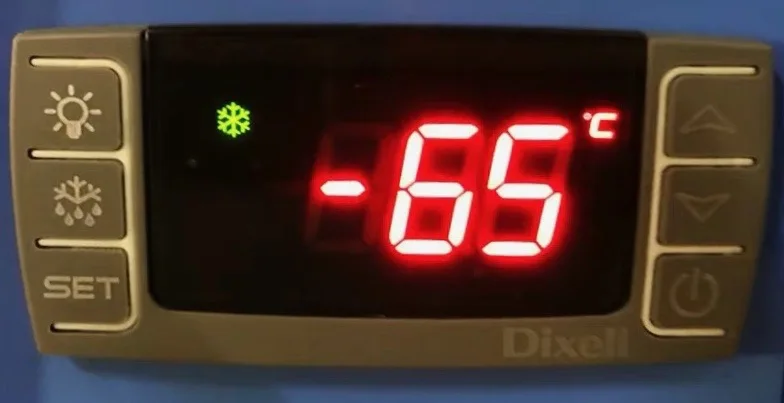 -60C Seafood Tuna Fish Storage 308L Low Temperature Chest Open Door Freezer DW-60W308