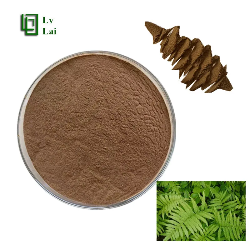 Top Quality Natural Organic Herba Pteridis multifidae powder Concentrate Phoenix-tail fern Extract