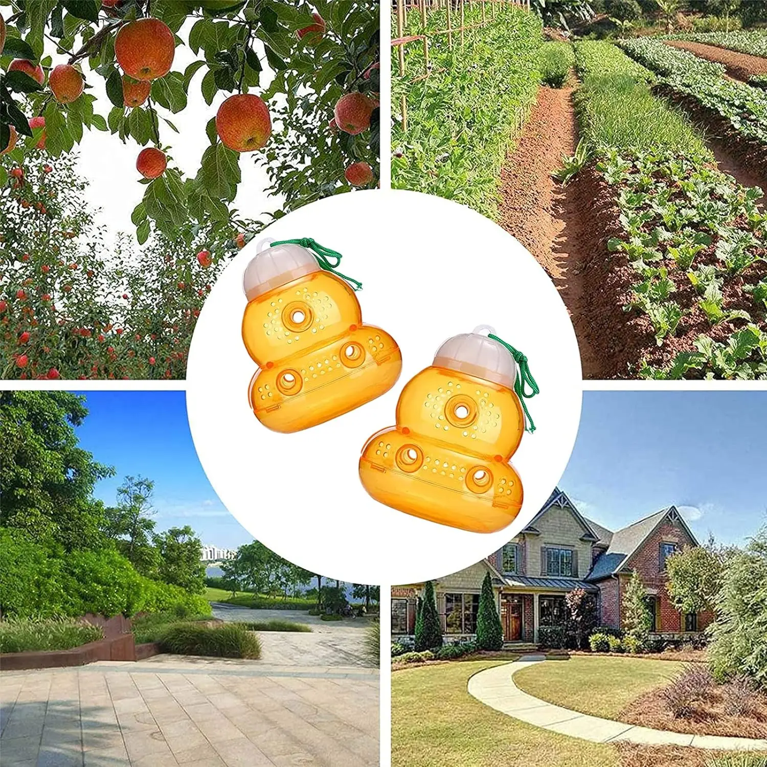 HeavyDuty Wasp Trap for Outdoor Use Hornet Traps Catcher with Hanging Design