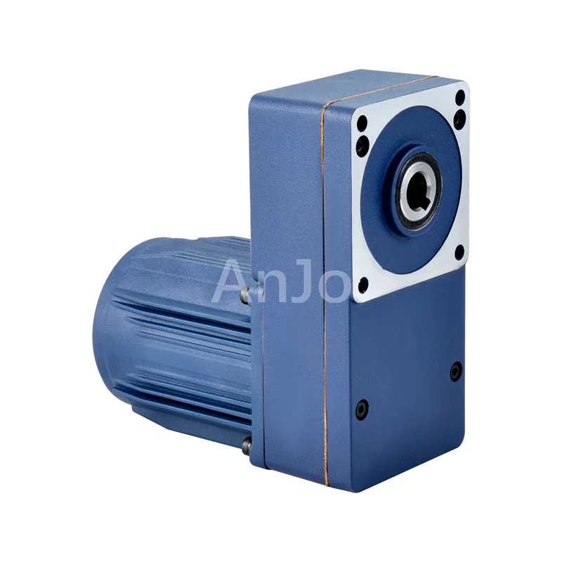 AC Gear Electric Machine Single Phase Electromotor Gearmotor 6W 10W 15W 20W 25W 40W 60W Gearbox and Induction Motor in Vietnam