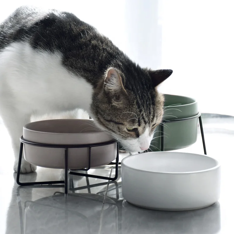 
Biodegradable Custom Cat Dog Pet Bowl Pet ceramic bowl feeder drinking water food bowl with stainless steel stand 