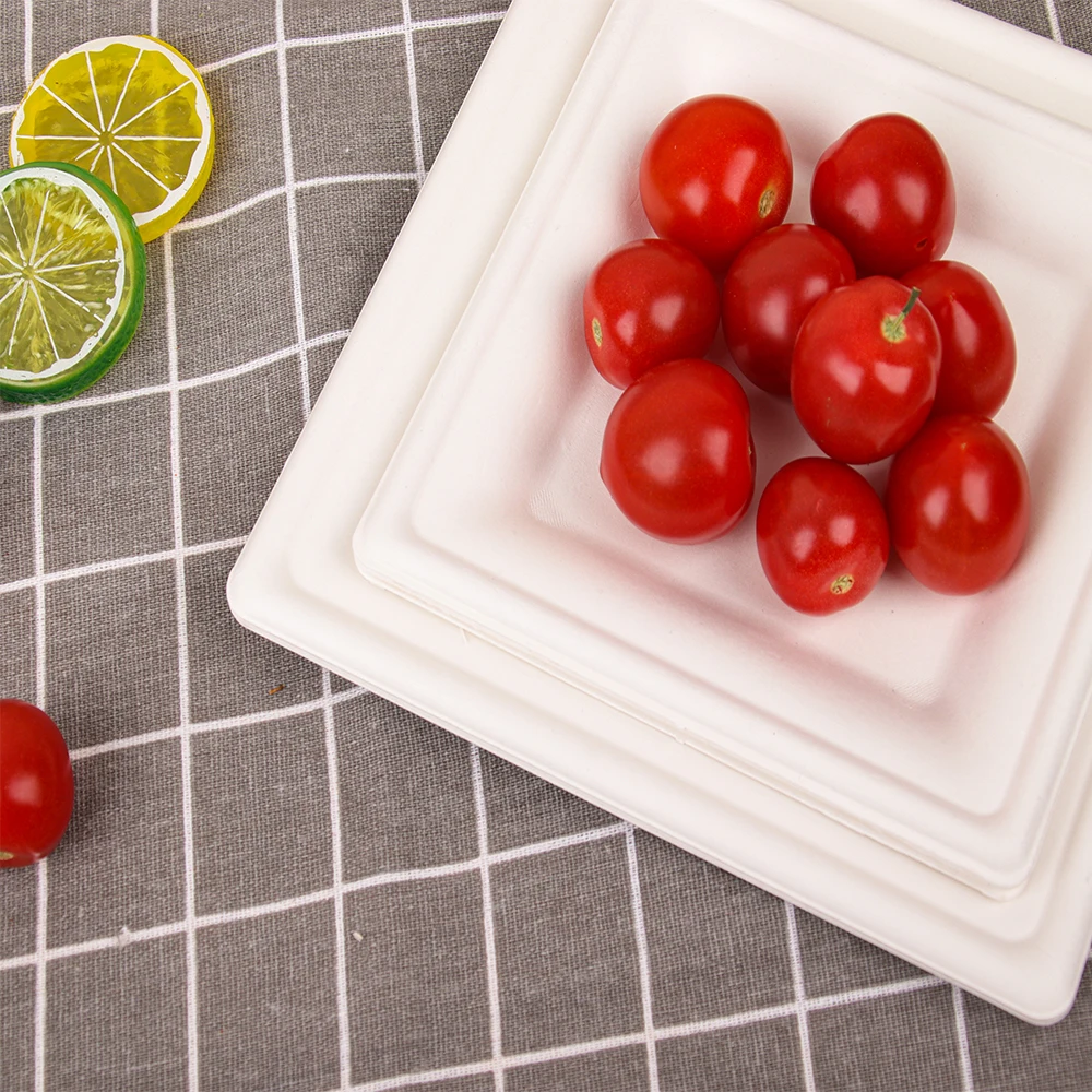 Free Samples disposable sugarcane tableware 9inch compostable bio degradable bagasse paper plate