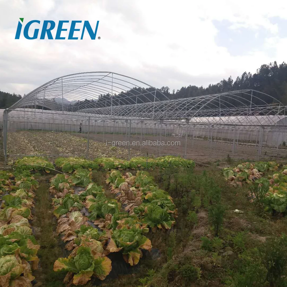 Film Agricultural Insulated Winter Tent Greenhouse Very Cheap Multi Span Plastic Large Fan Large Green House Covers Single Layer