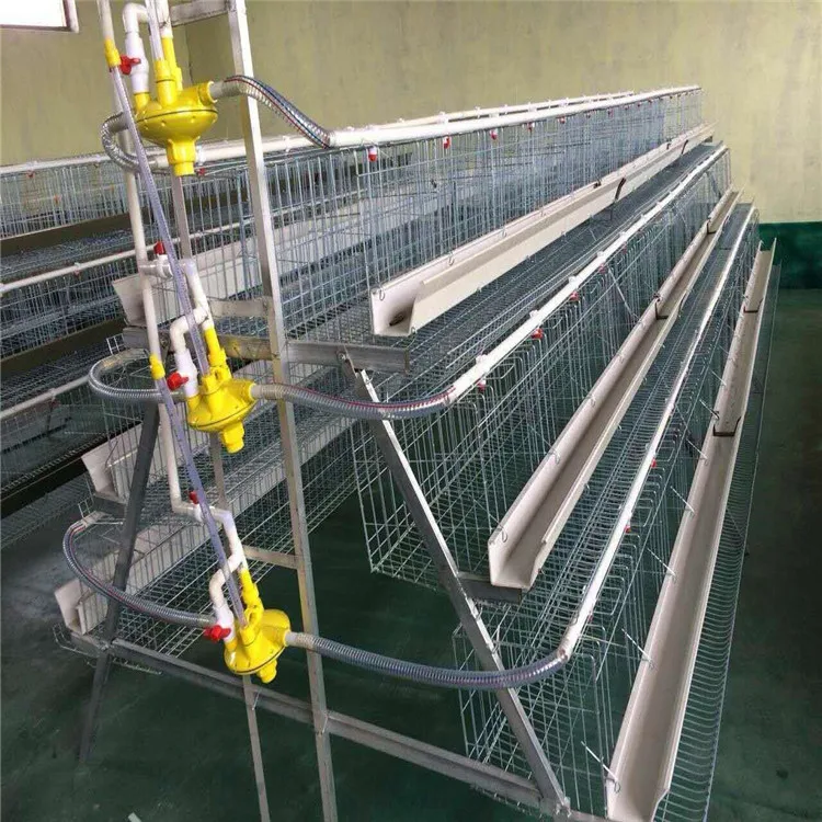 Automatic layer chicken cages with best price