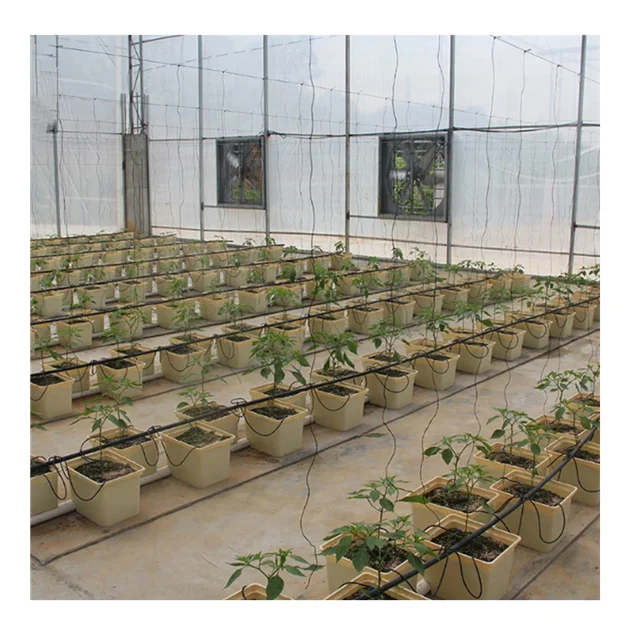 Hydroponic Dutch Bucket Bato Bucket for Hydroponic Planting