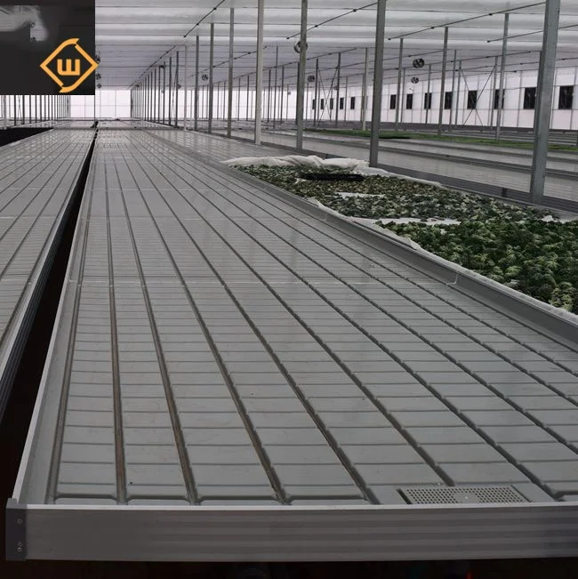 Greenhouse 4ftx24ft Flood Rolling Table Tide Zone Hydroponic Growing Tray