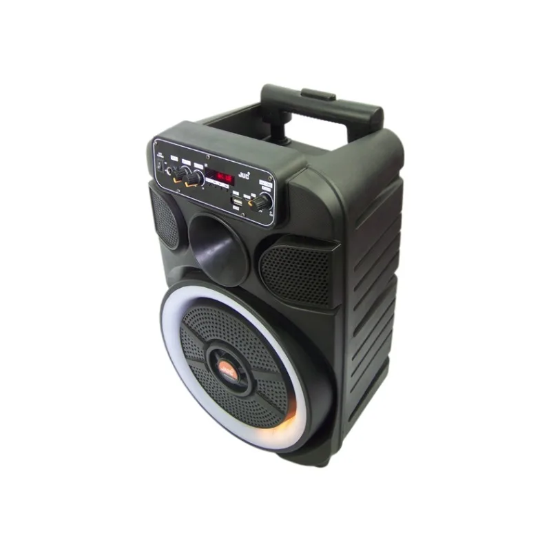 2022 Popular Design Single 12-inch Piezoelectric Tweeter With Radio