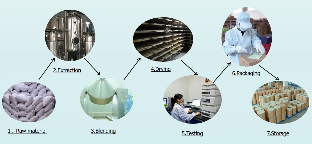 Natural Gallnut Extract Gallic Acid