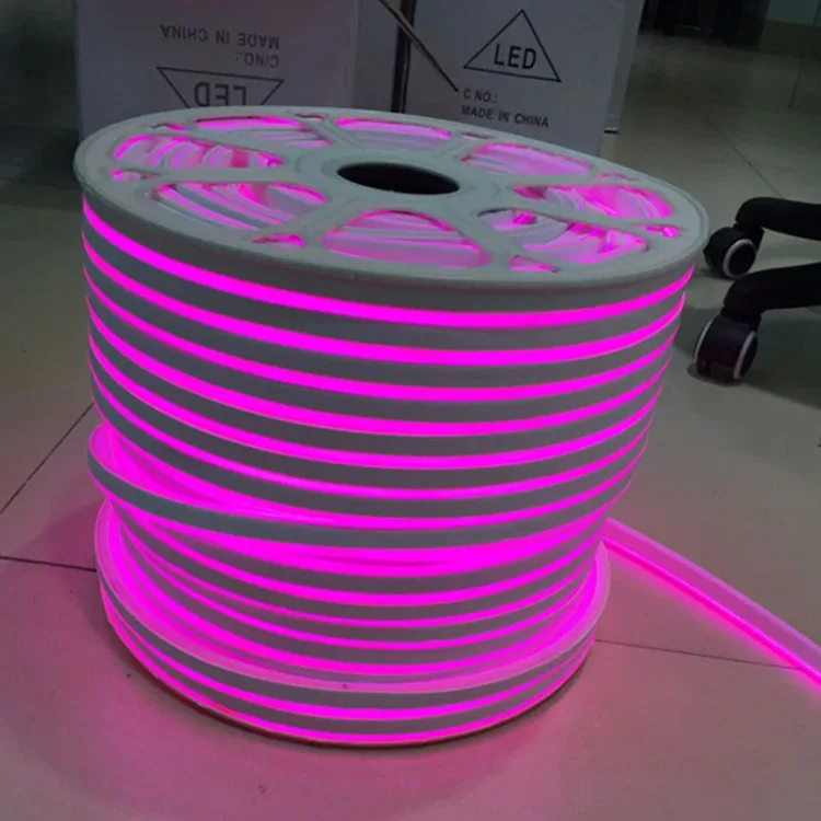 Dream RGBIC Flexible Neon Lights 24V Pixels LED Strip Running Color LED Neon Silicone LED Strip Diffuser 120LED 10 30 60 Pixels
