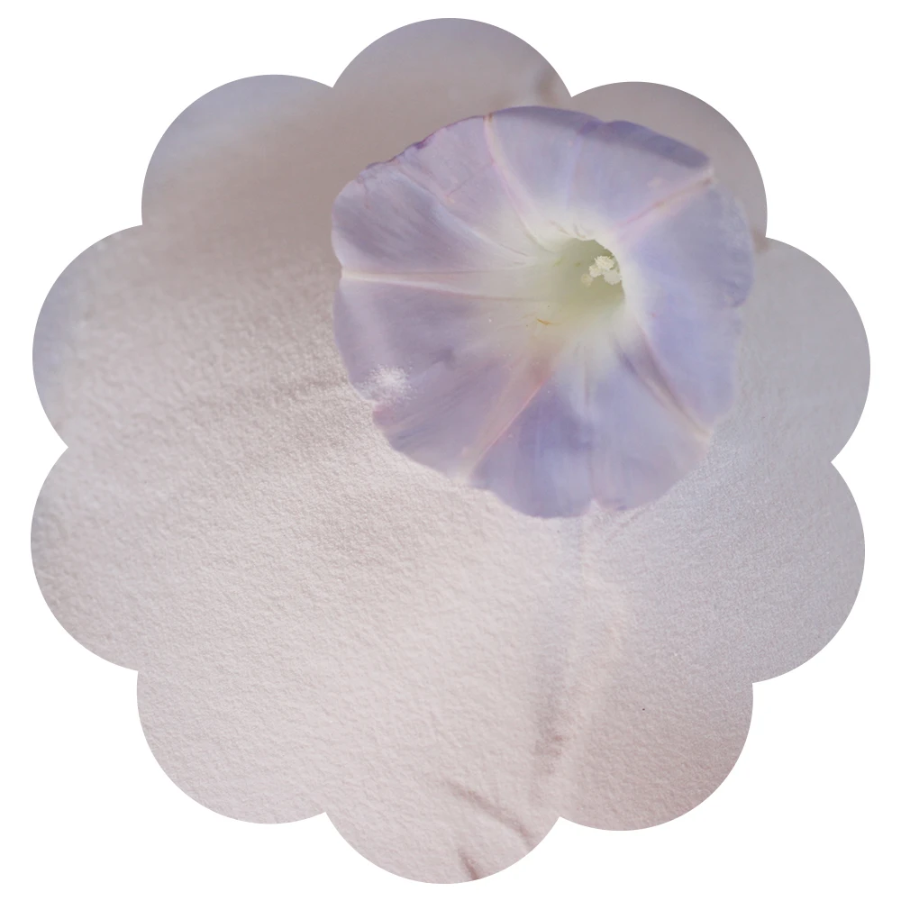 STPP Chinese factory direct supply of sodium tripolyphosphate has a good price