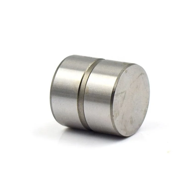 Tp67 Supply Engine Part  Valve Tappet for Santa Fe 2008 Valve Lifter 85004900