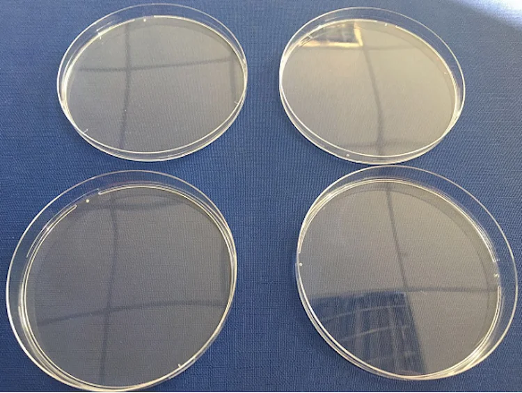 Factory Customization Disposable Petri Dish Mold Tooling Plastic Injection Mould For Laboratory