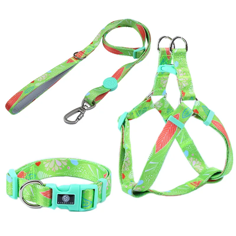 quick release metal buckle dog polyester unique pet leash set design personalize