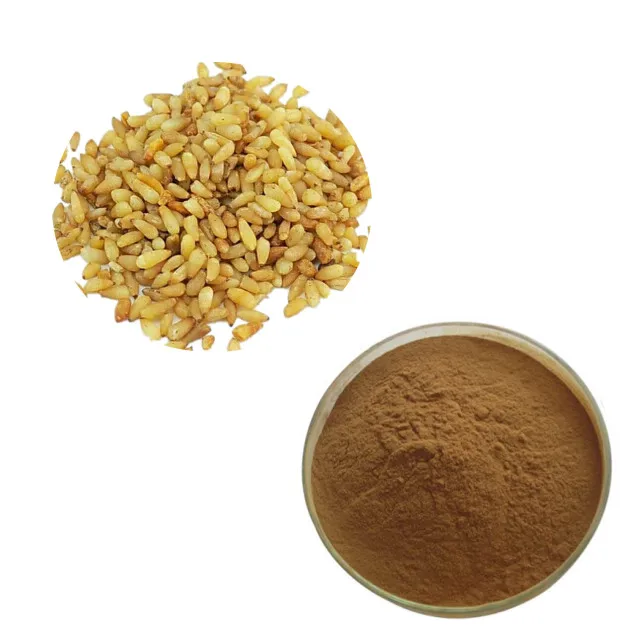 Factory direct selling Semen Platycladi Extract,Platycladus orientalis