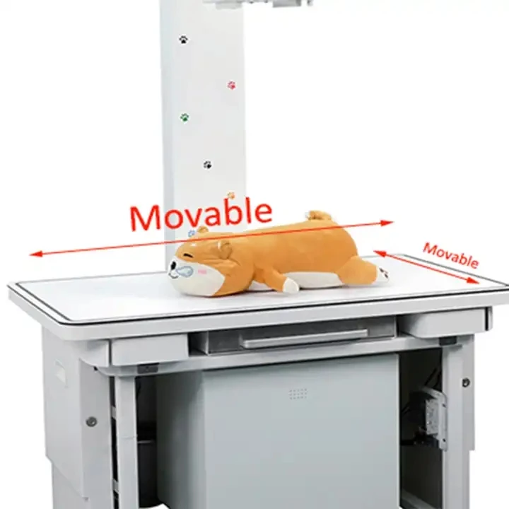 Medical Xray System Digital Vet X Ray High Frequency Veterinary X-ray Machine with Panels