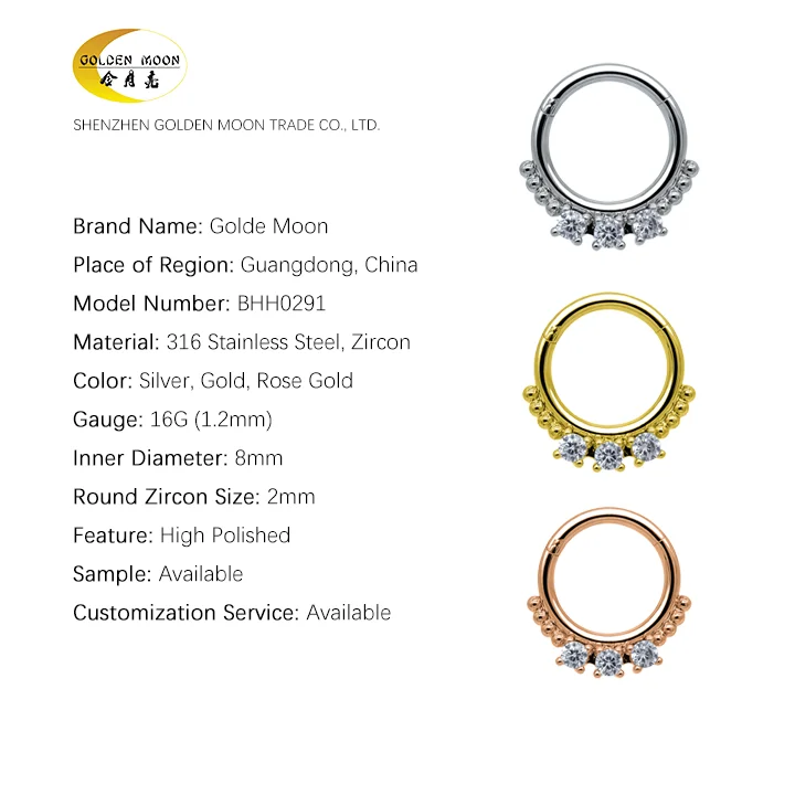 Hinged Segment Gold Plated Surgical Grade 316L Stainless Steel Titanium Piercing Jewelry Nose Septum Rings for Women